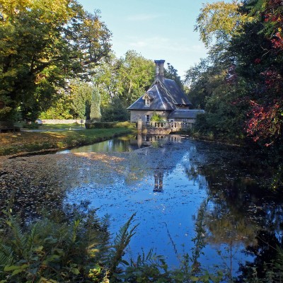 Falkland Pond by Spotlight Images