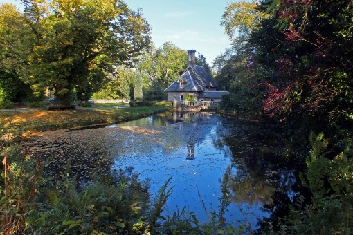 Falkland Pond by Spotlight Images