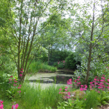 Lindores Pond by Spotlight Images