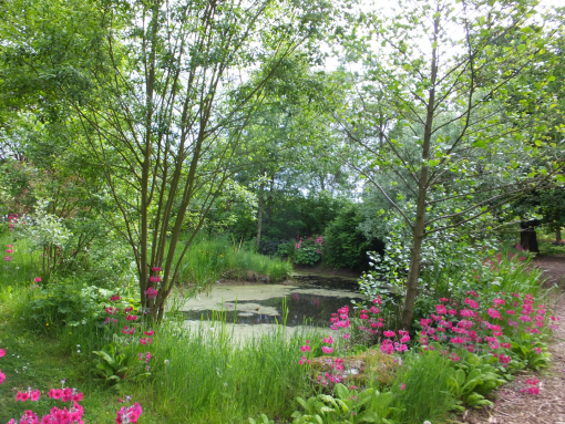 Lindores Pond by Spotlight Images