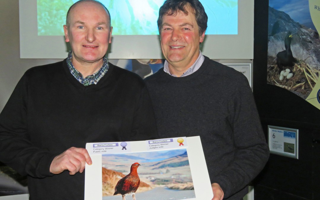 Scottish Seabird Centre – 10th Nature Photography Awards