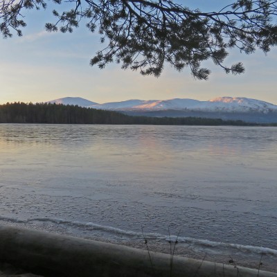 loch garten_3888